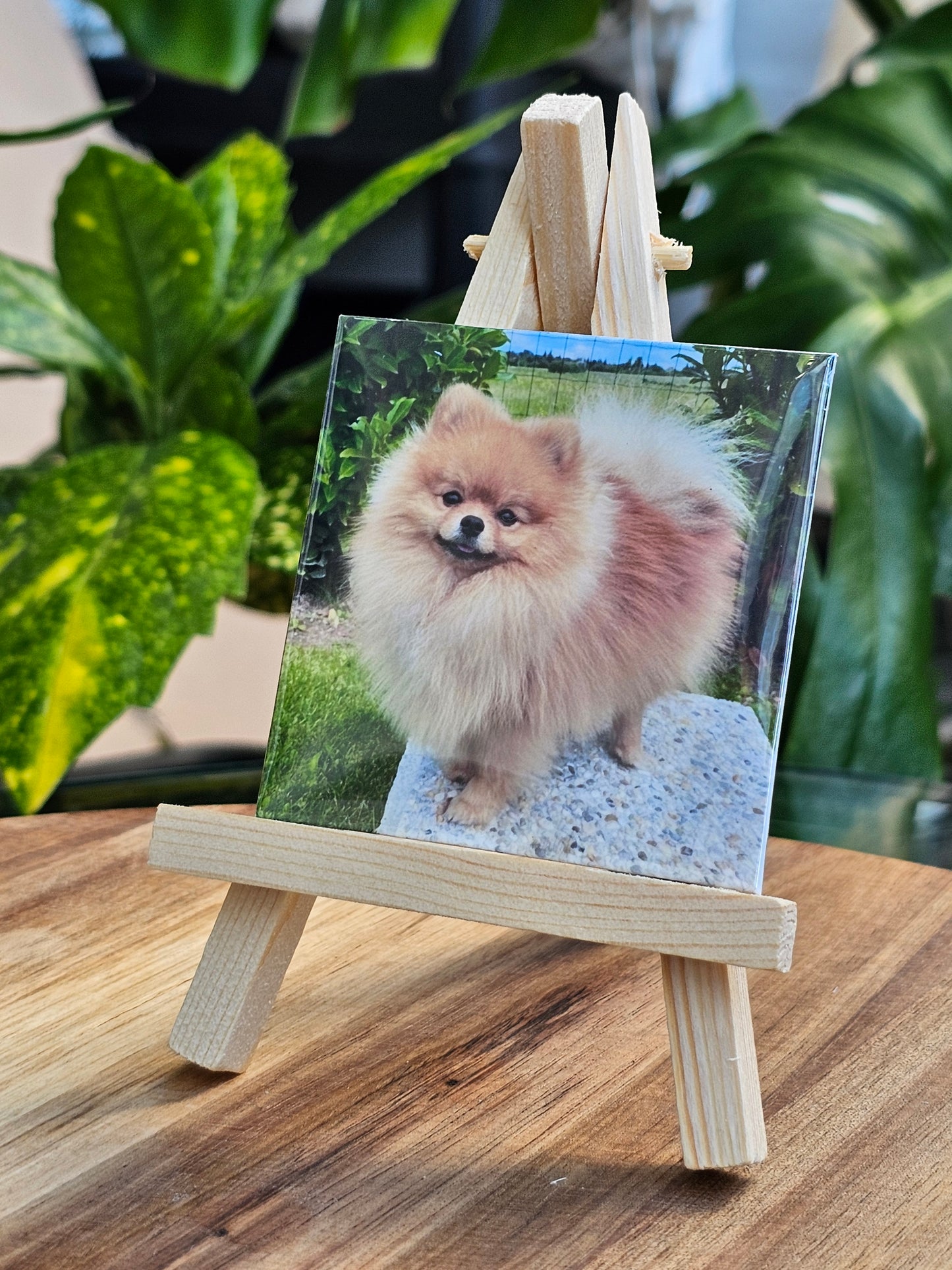 Fotomagnete mit Mini-Ständer