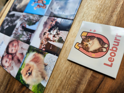 LeoBurr Fotomagnet