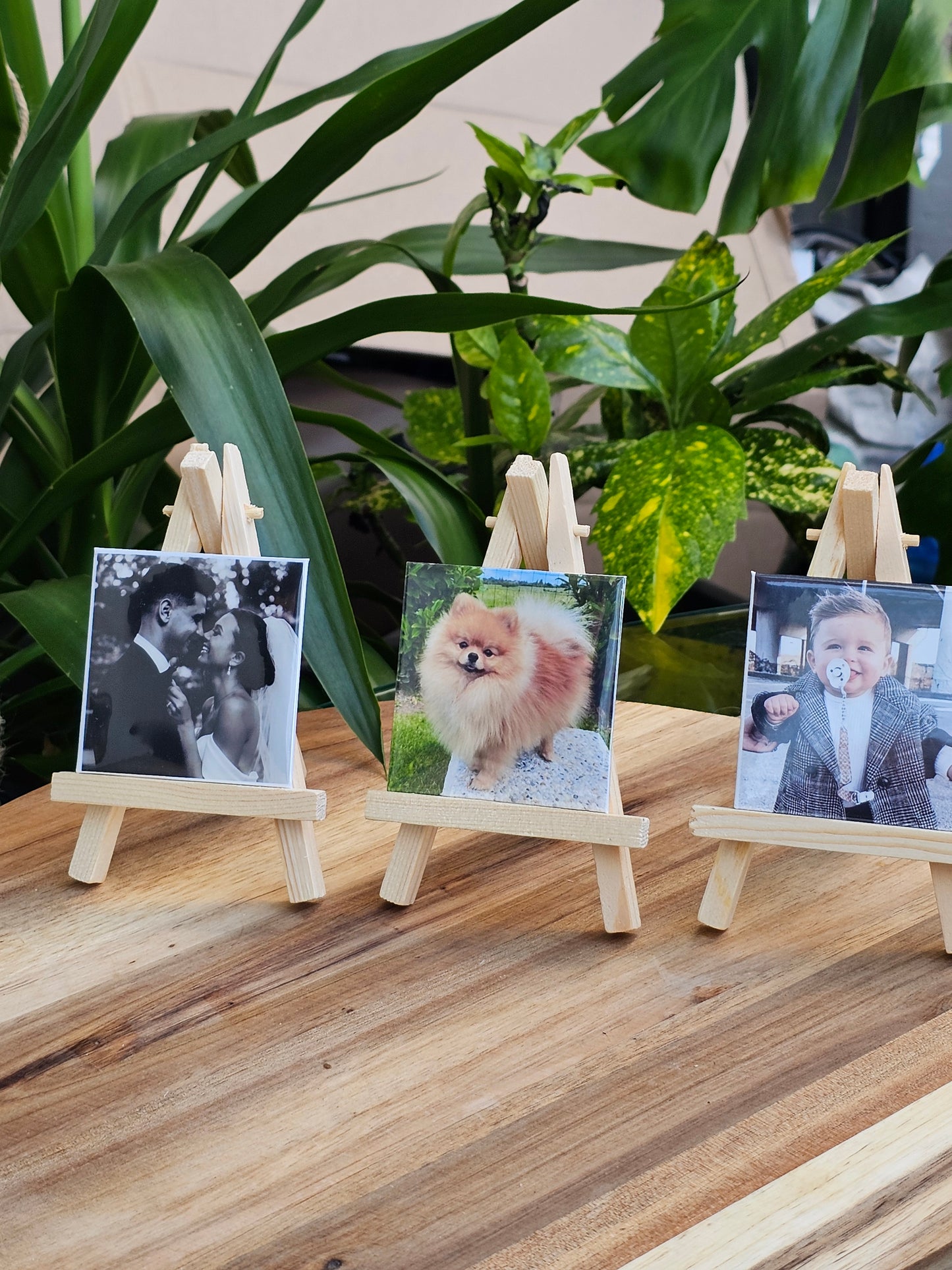 Fotomagnete mit Mini-Ständer